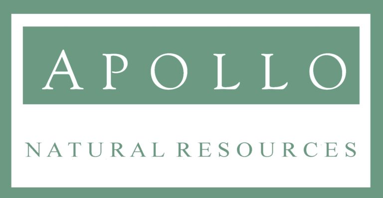 Apollo Announces Closing of $300 Million in Preferred Shares