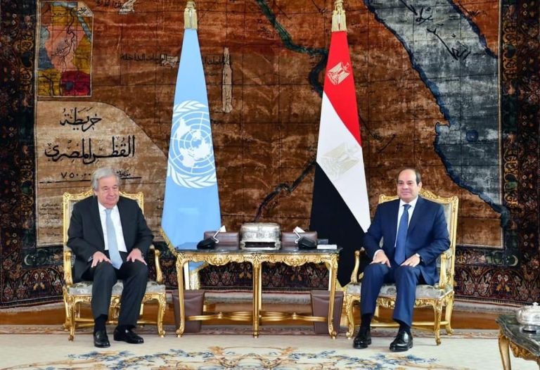 Egyptian President, UN Secretary-General discuss regional, international developments