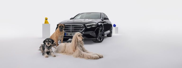 MBUX Bark Assist: Mercedes-Benz presents a new voice assistant for dogs today