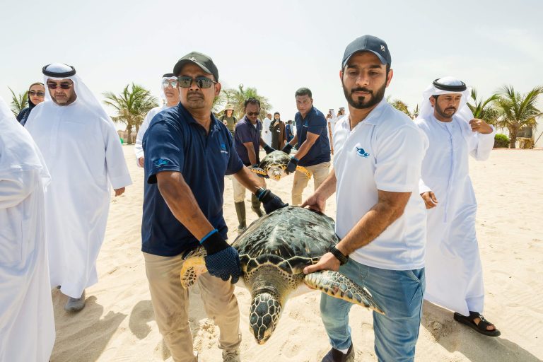 Sharjah Aquarium Showcases Achievements and Initiatives on World Oceans Day