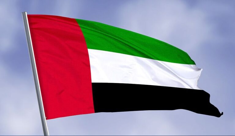 UAE takes second place globally in new FDI projects at 1,323 in 2023